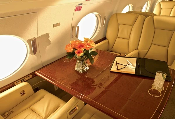 Nội thất cực “đỉnh” bên trong máy bay của giới tỷ phú ảnh 25